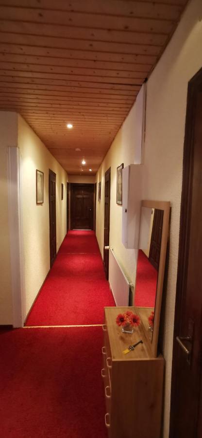 Pension Thuringer Hof Цигенрюк Екстер'єр фото